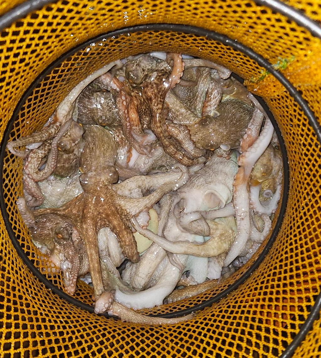 F27821295J.jpg