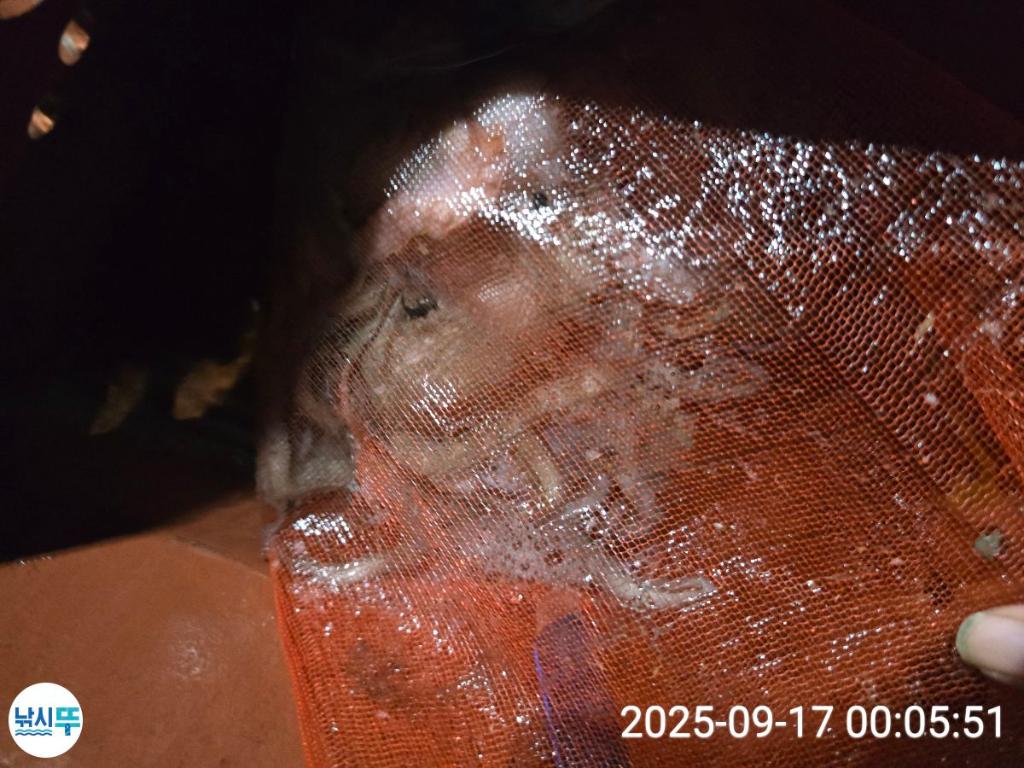 F2782195SA.jpg