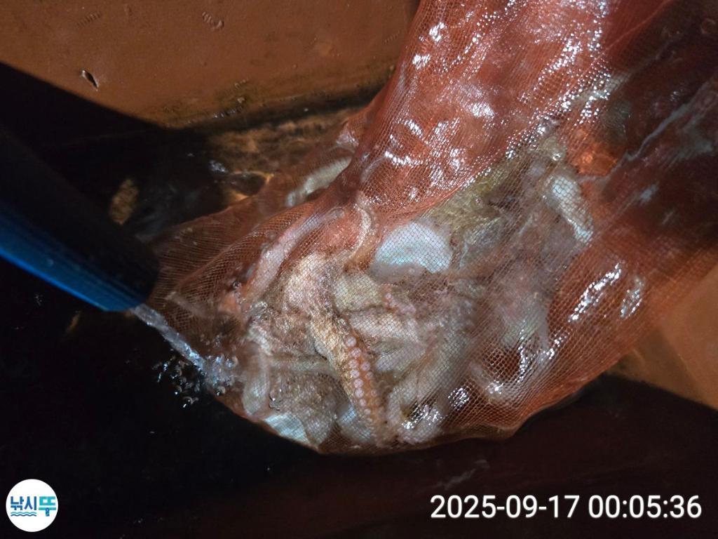 F2782198R1.jpg