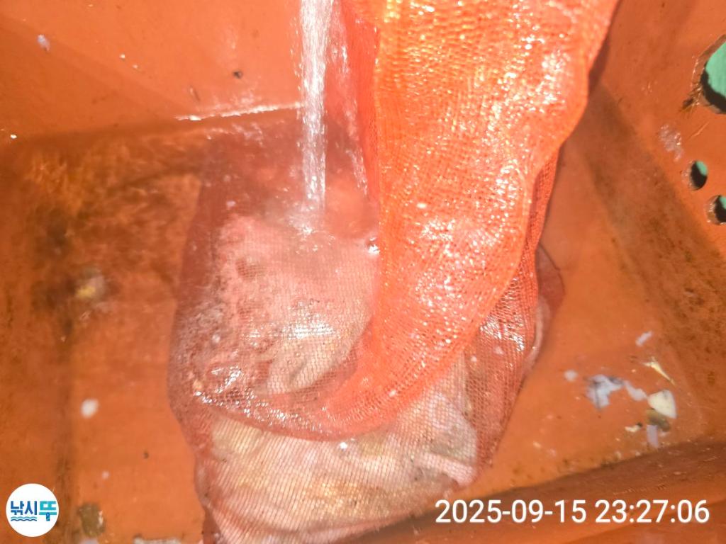 F27822118G.jpg