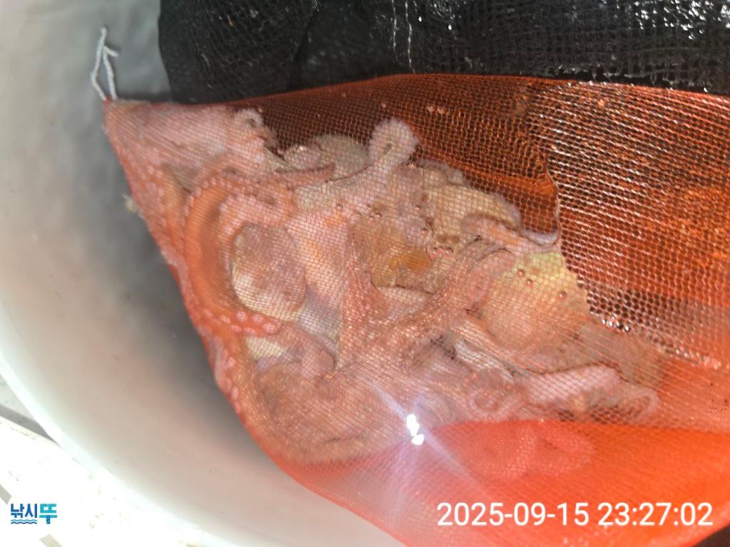 F2782212S3.jpg