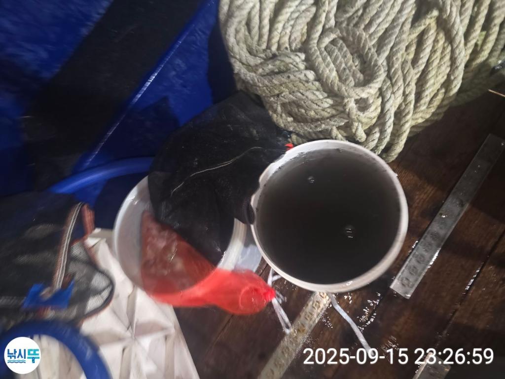 F2782214CI.jpg