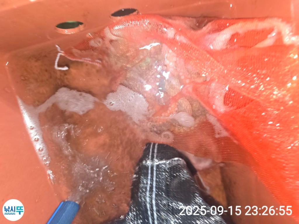 F2782215TC.jpg