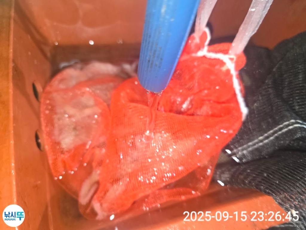 F27822160P.jpg