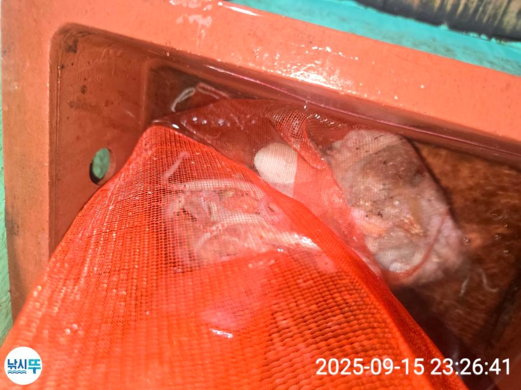 F2782217RE.jpg