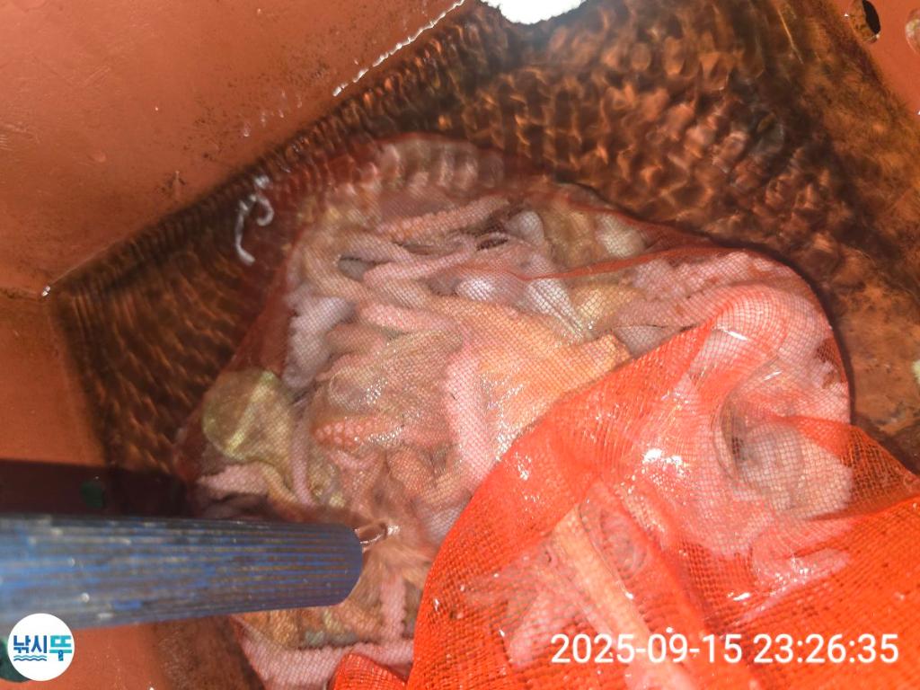 F2782218LL.jpg
