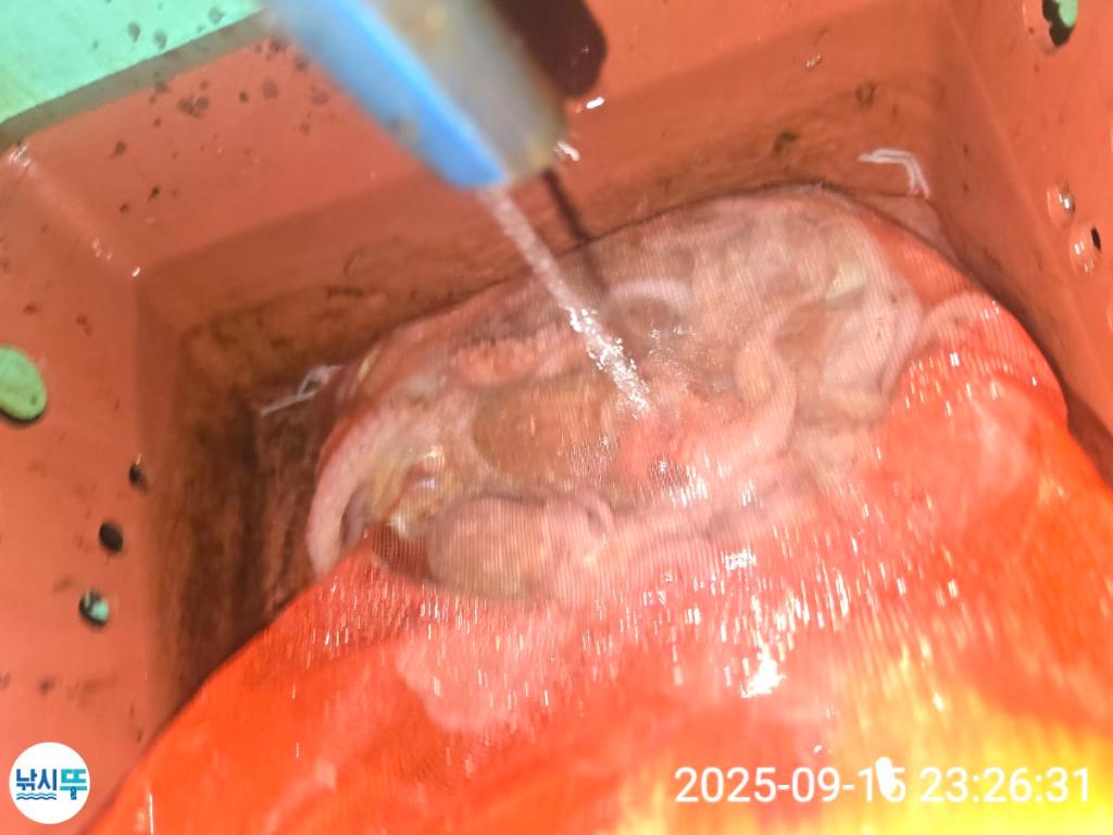 F2782219HS.jpg