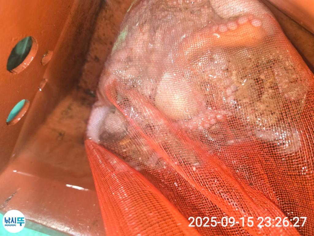 F2782220J1.jpg