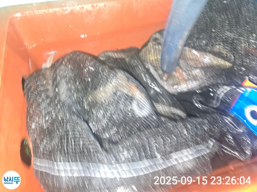 F2782222RW.jpg