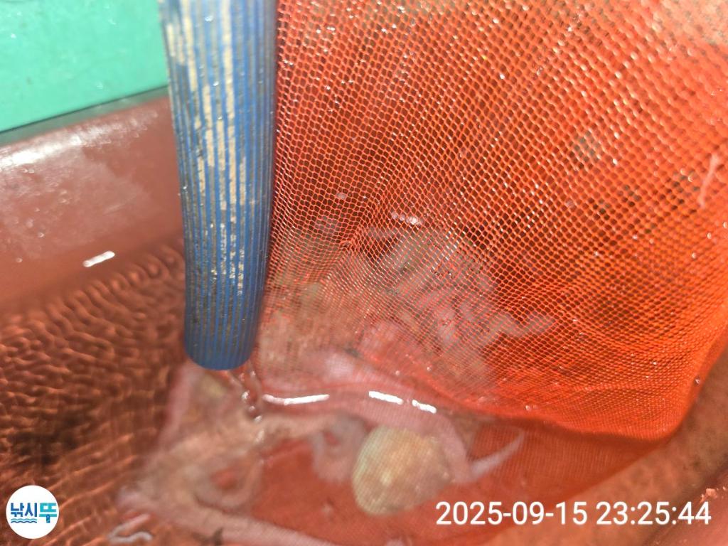 F2782225UM.jpg