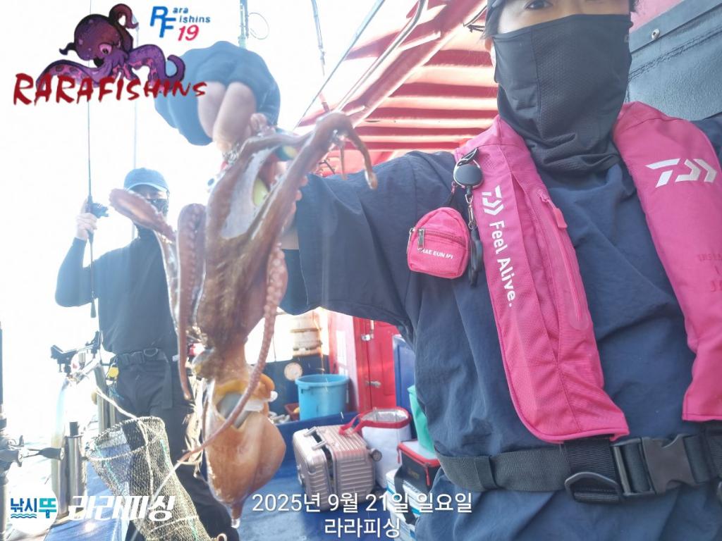 F2782299WL.jpg