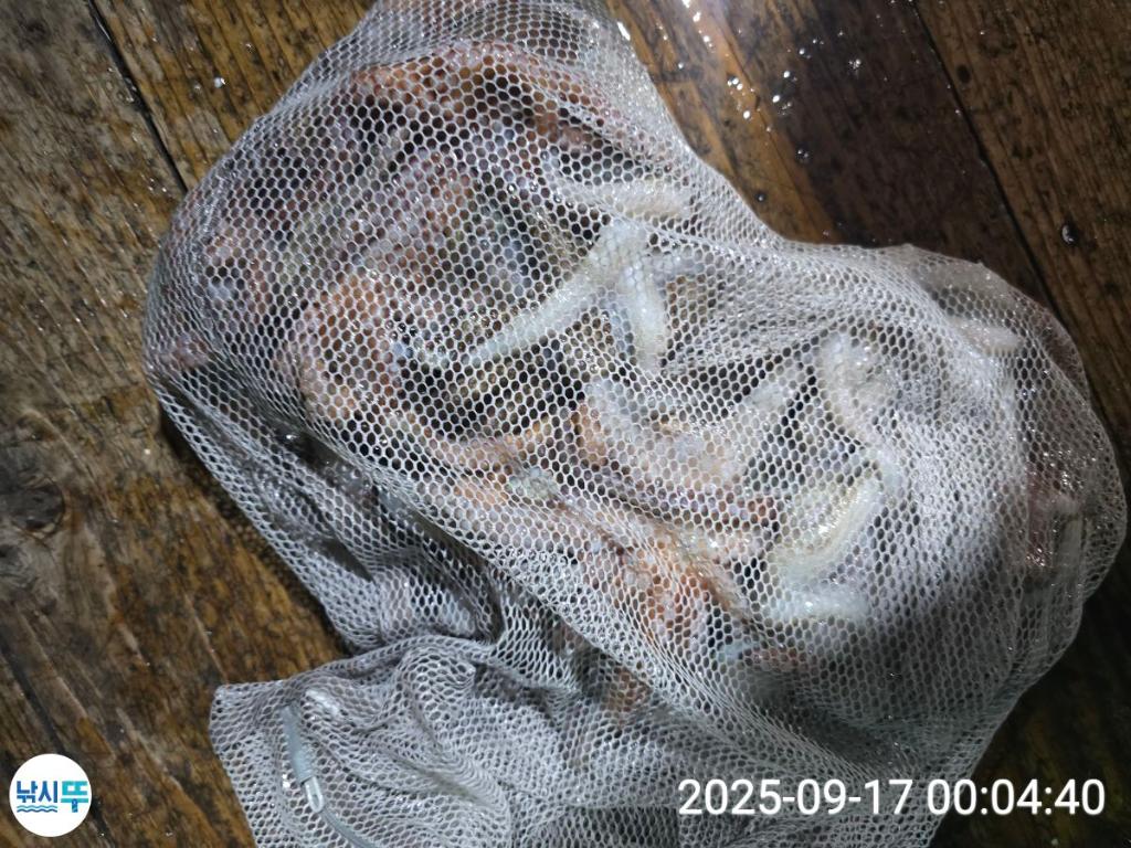 F2782433TV.jpg