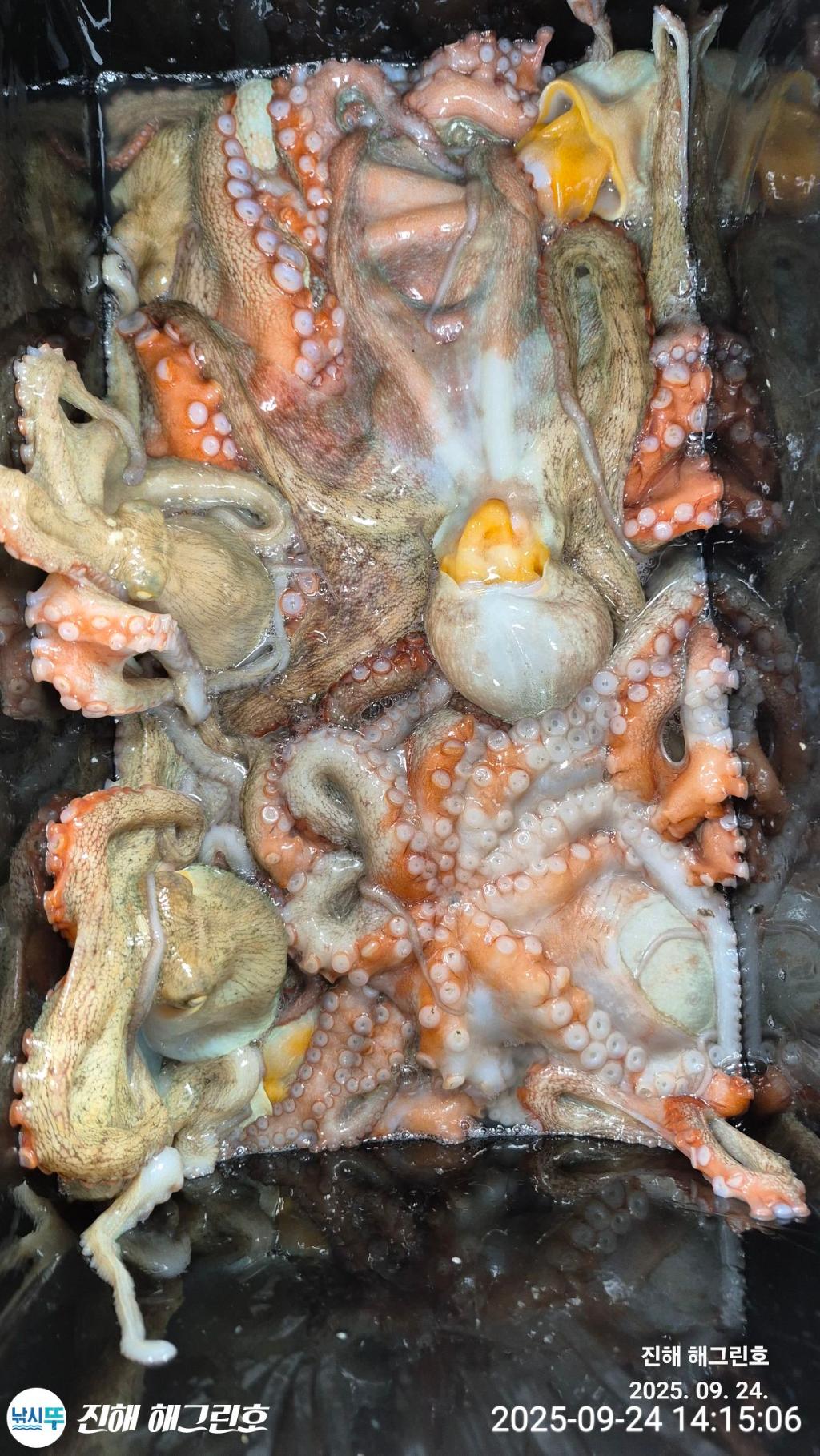 F2782690H8.jpg