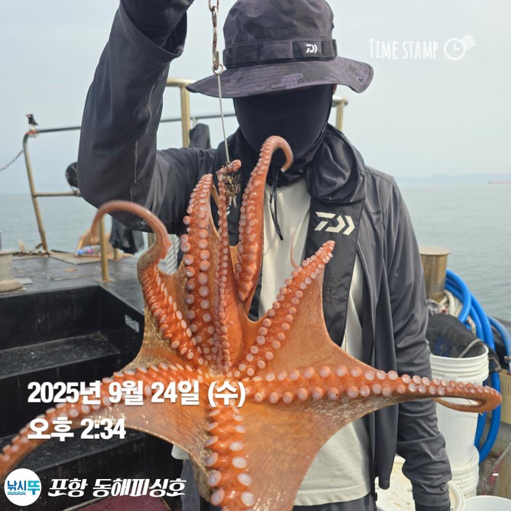 F2782722UT.jpg