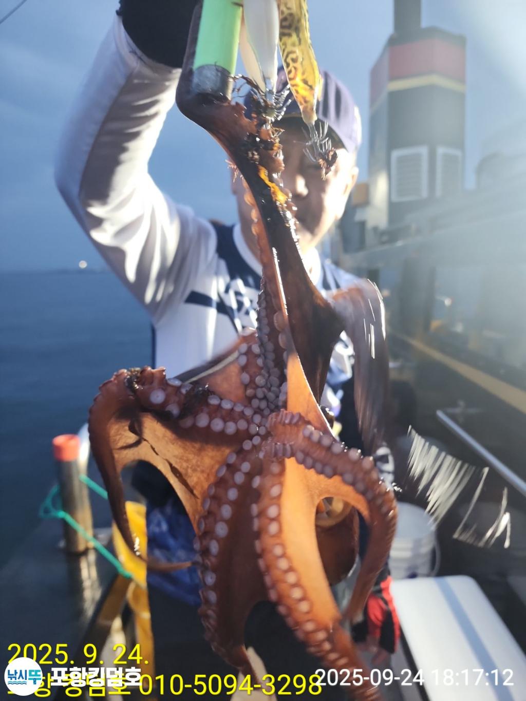 F27827329X.jpg