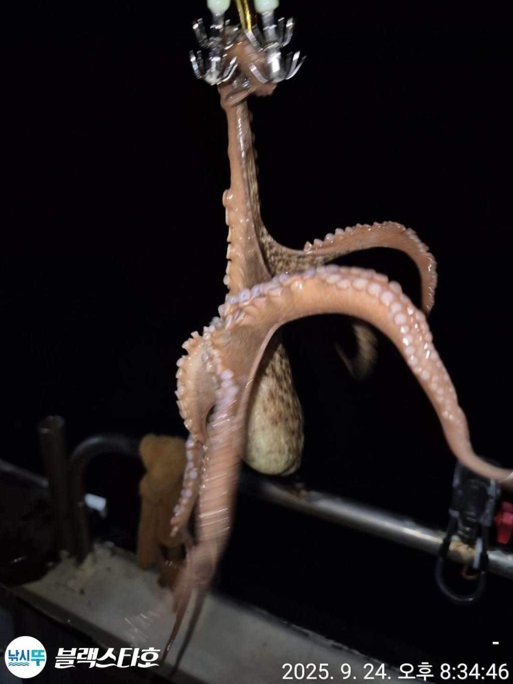 F2782835IN.jpg