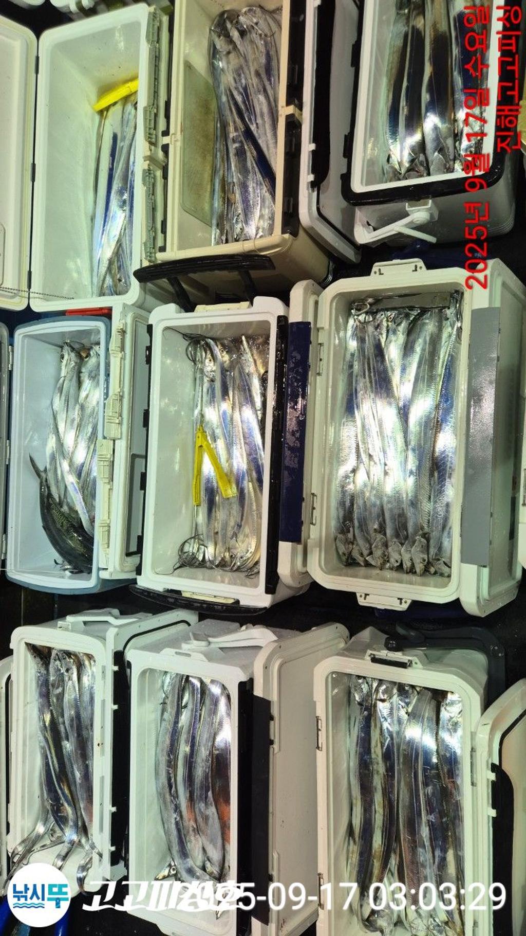 F27796884G.jpg
