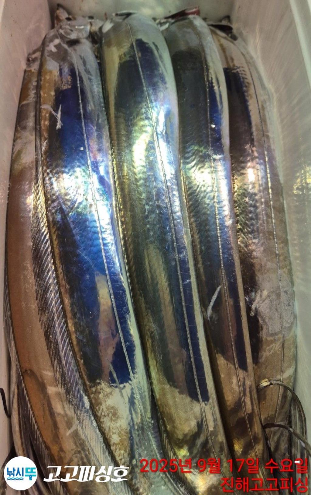 F2779711GN.jpg
