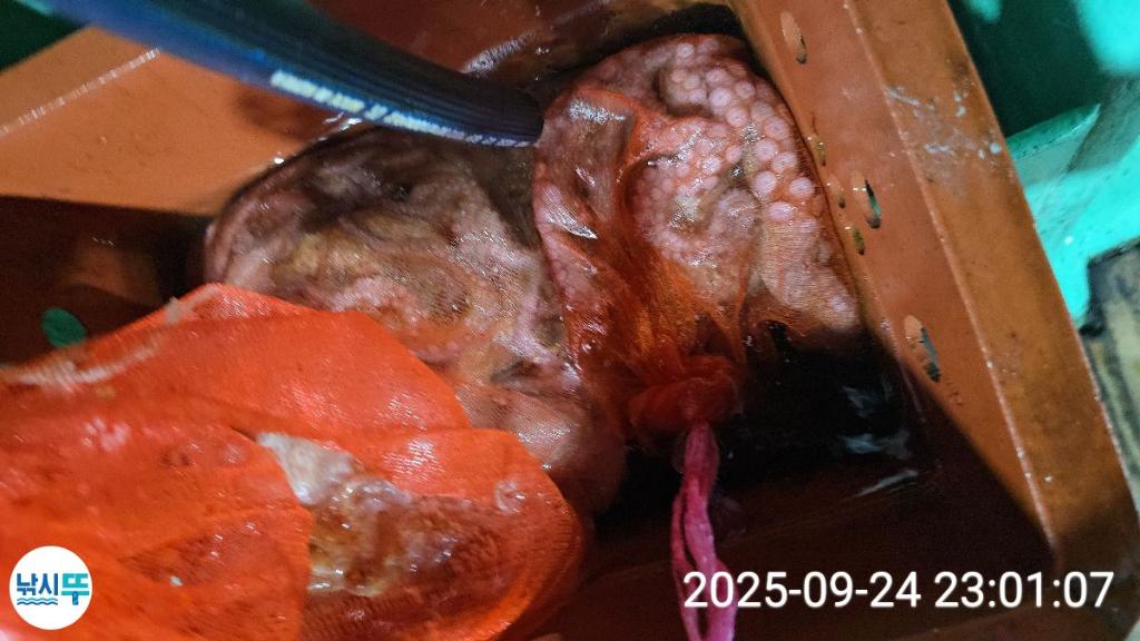 F2782842A1.jpg