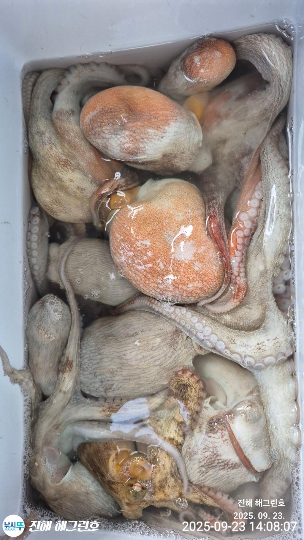 F2782976P0.jpg
