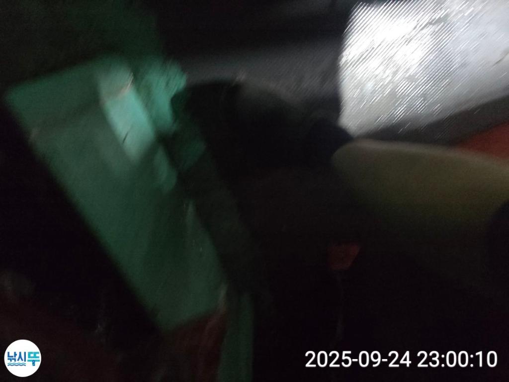 F278303783.jpg
