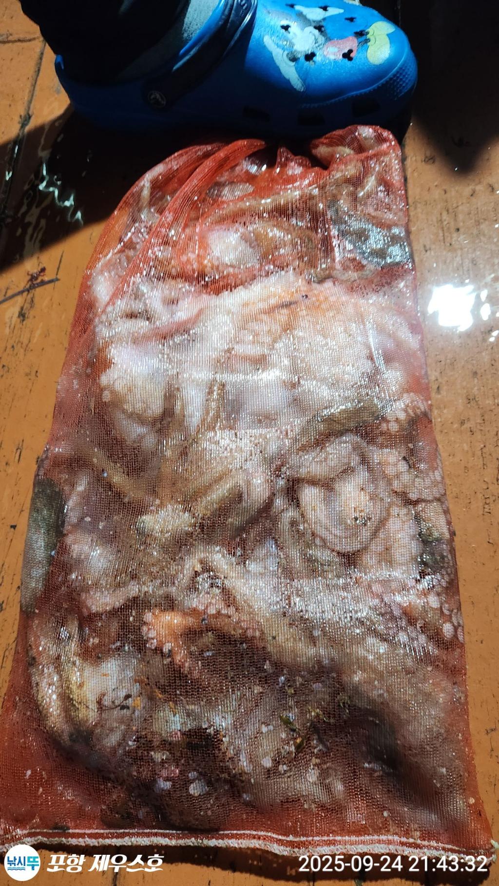 F2783095ZM.jpg