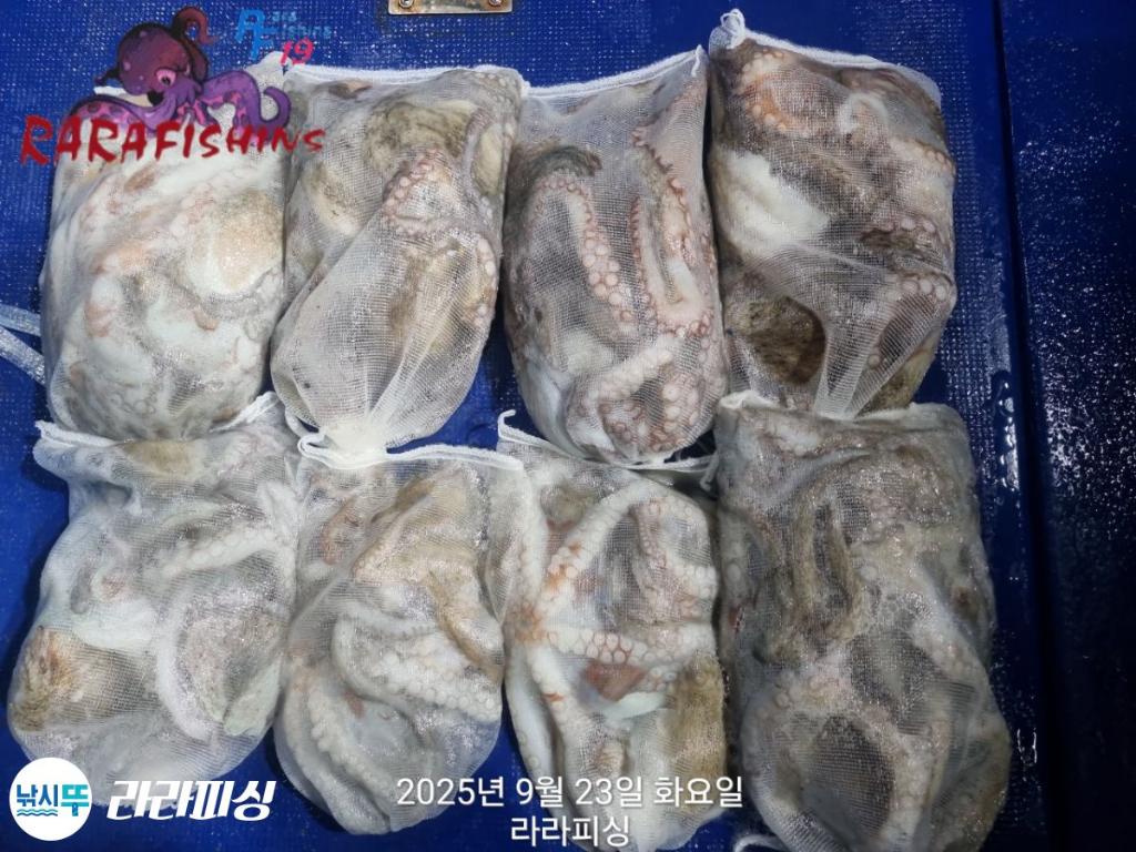 F27831927R.jpg