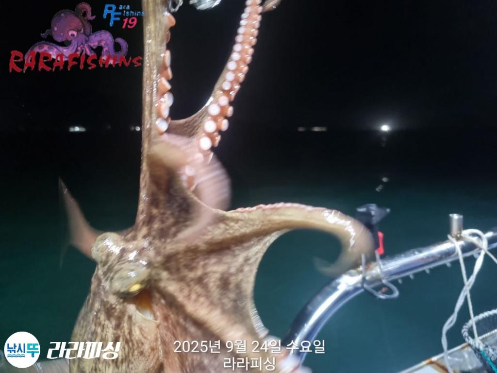 F2783200IY.jpg