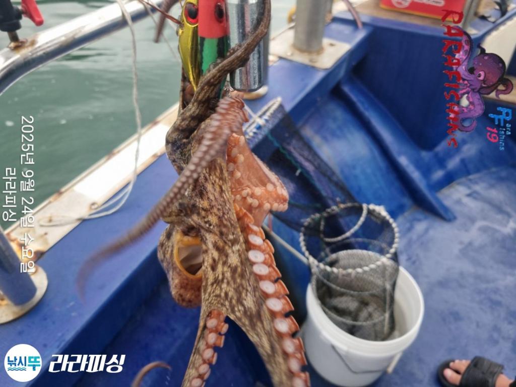 F2783203IN.jpg