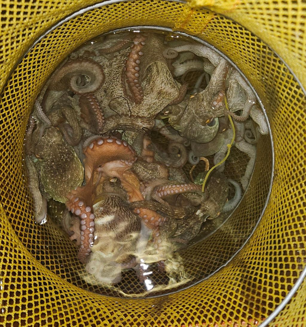 F2783391BM.jpg