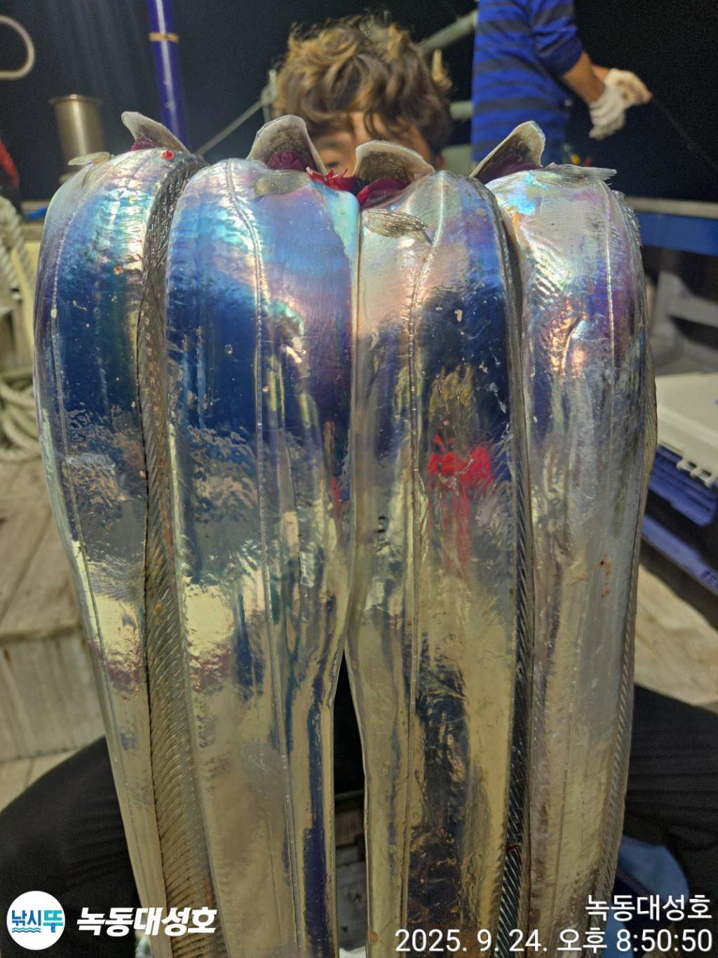 F278342301.jpg
