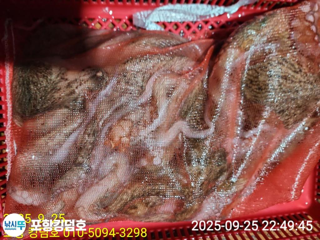 F2783496XK.jpg