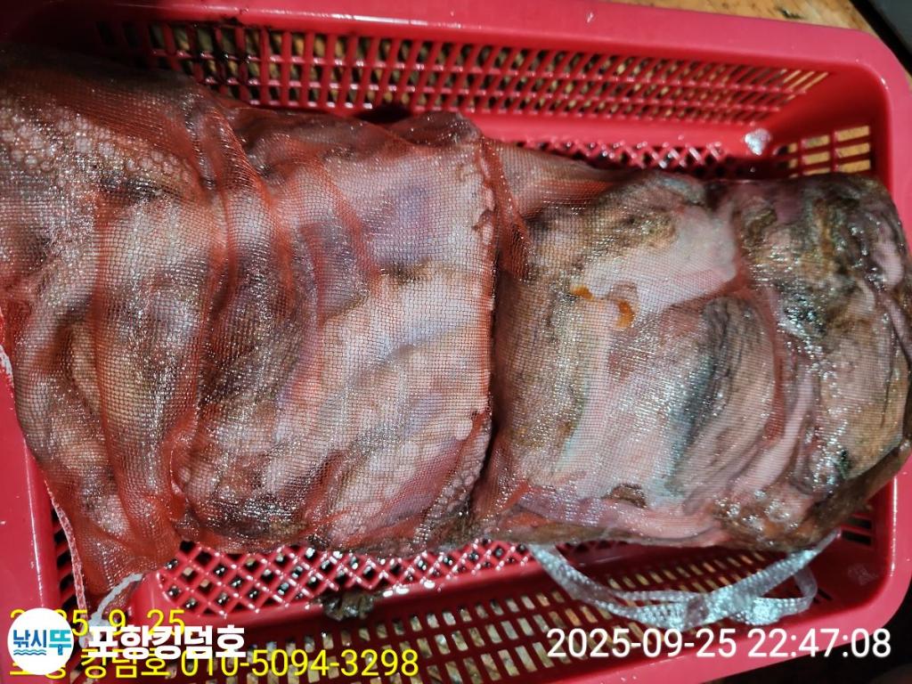 F2783498LG.jpg