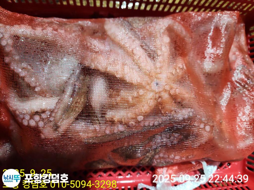 F278350071.jpg
