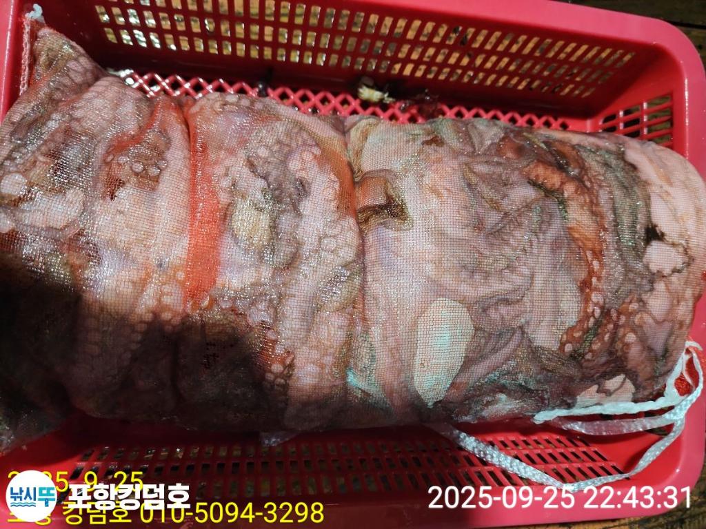 F2783501GI.jpg