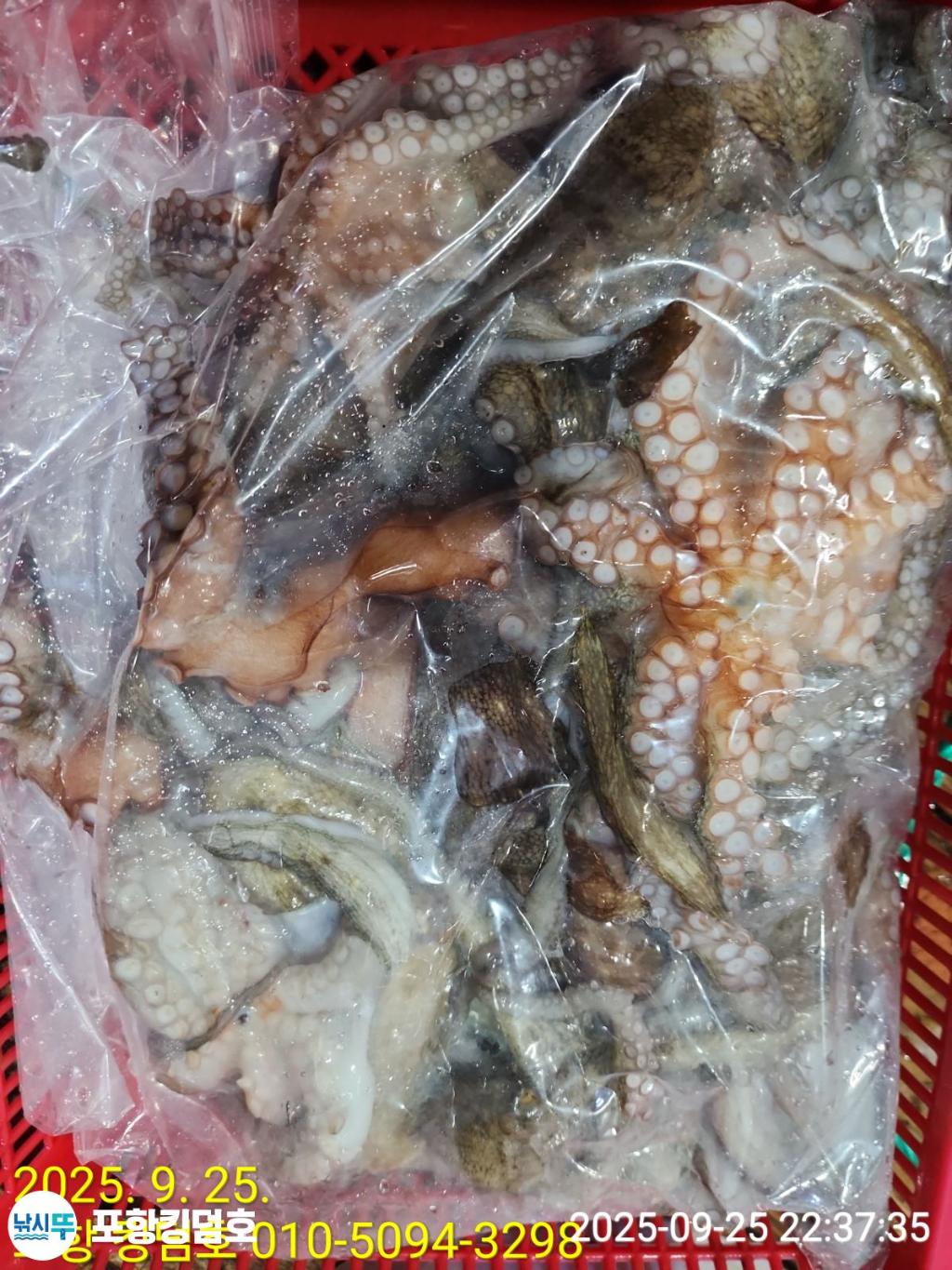 F278350460.jpg
