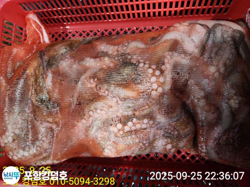F278350542.jpg