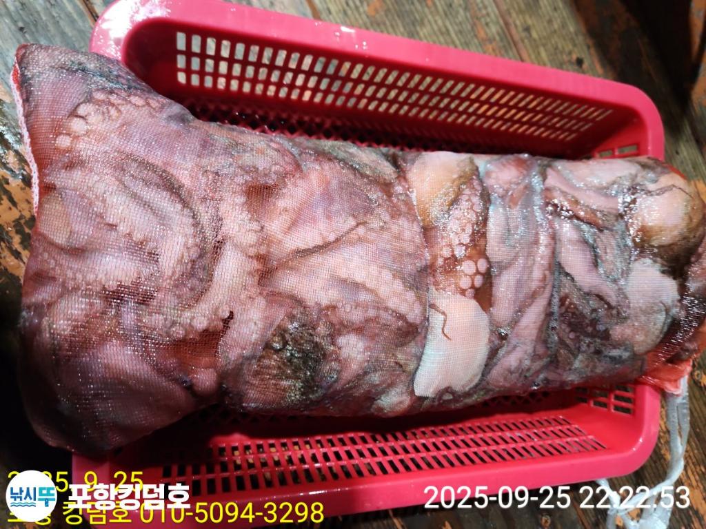 F2783509UE.jpg