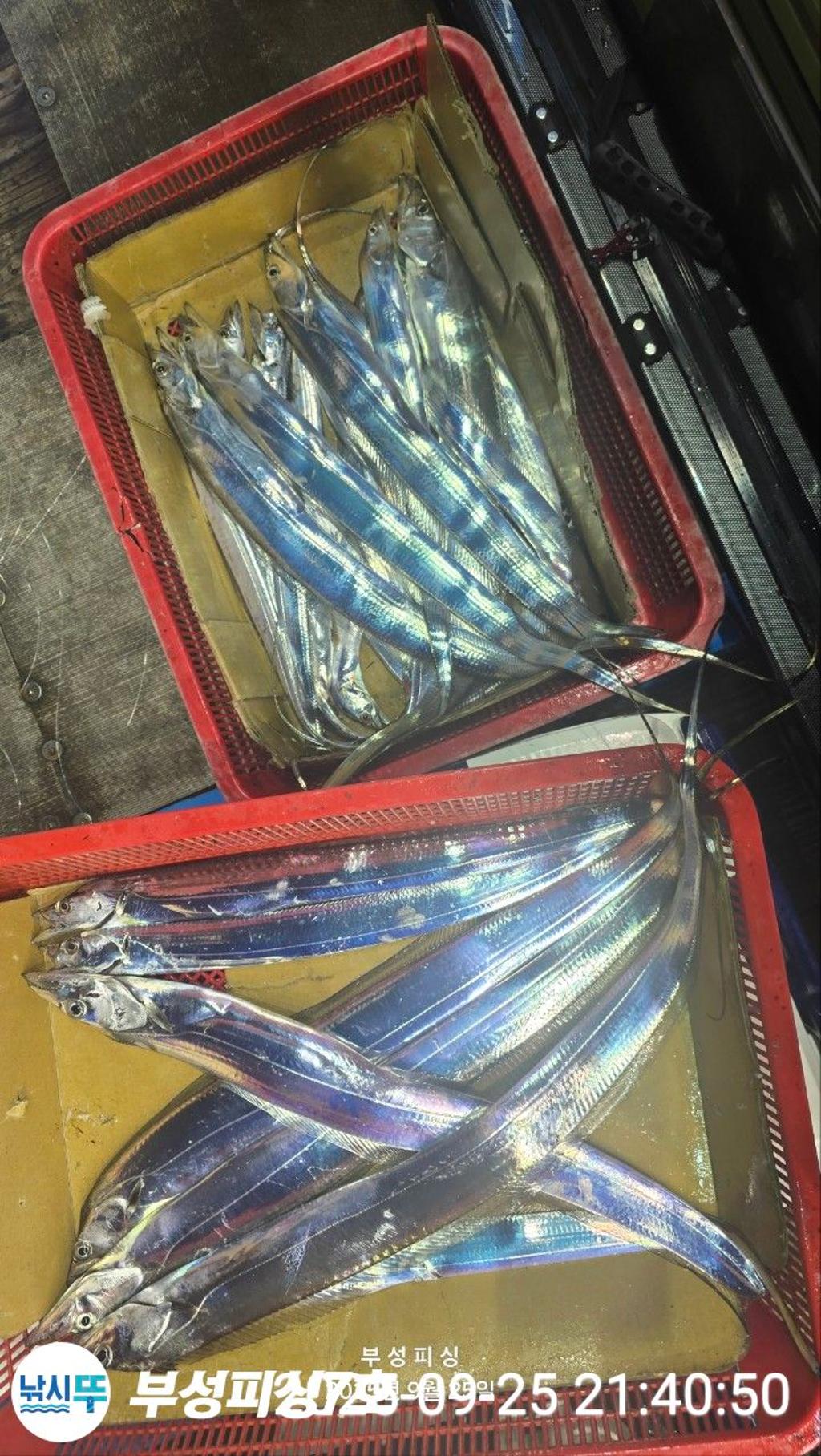 F2783605M1.jpg