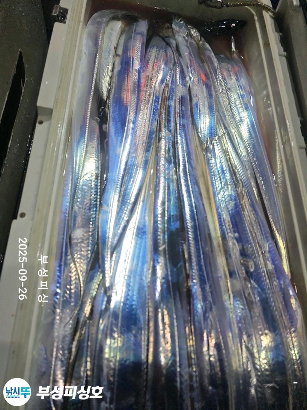 F2783628H9.jpg