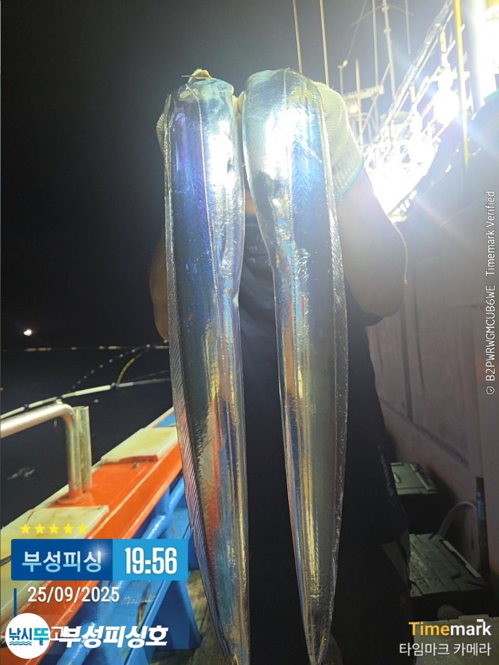 F2783645KN.jpg