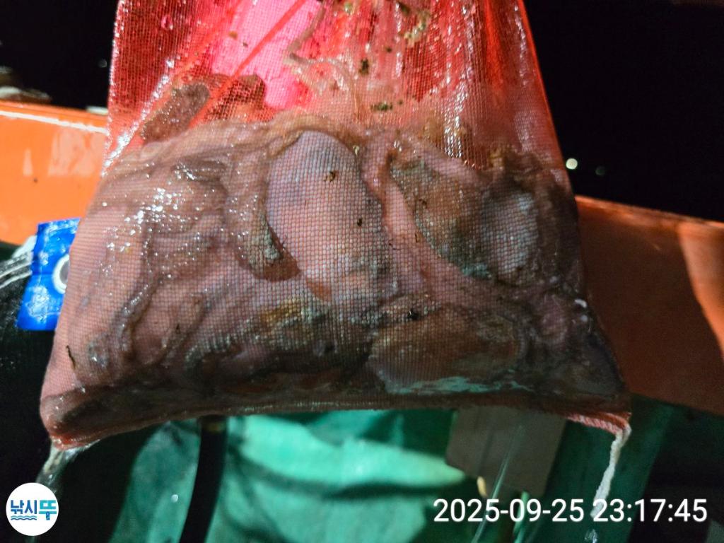 F2783771FM.jpg