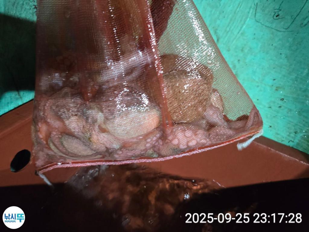 F2783772G9.jpg