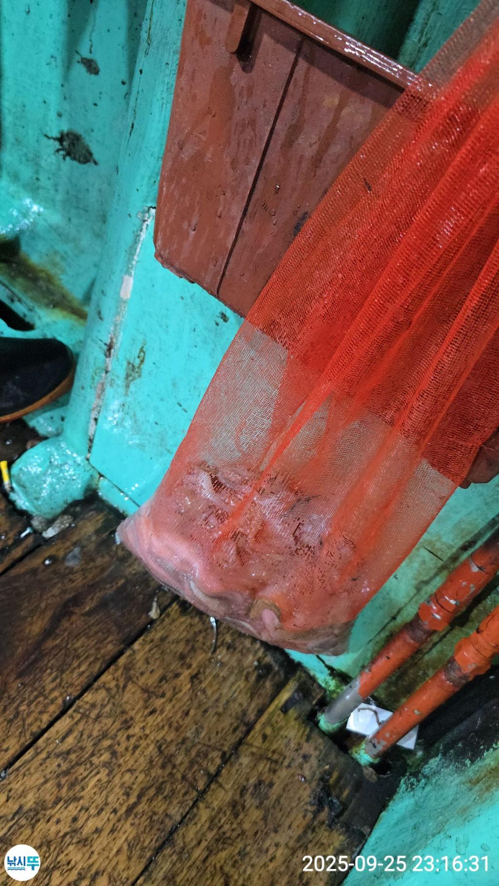 F2783781Q1.jpg