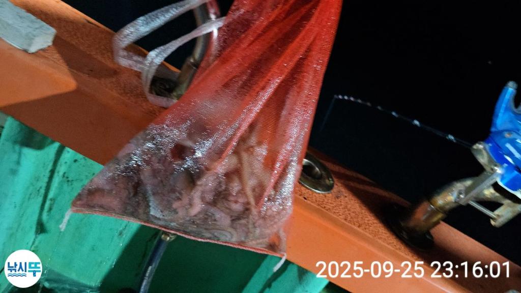 F2783784LG.jpg