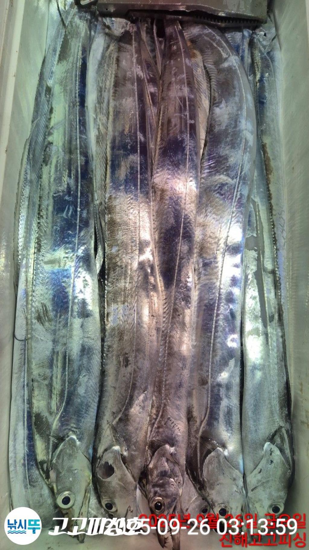 F2783908BX.jpg
