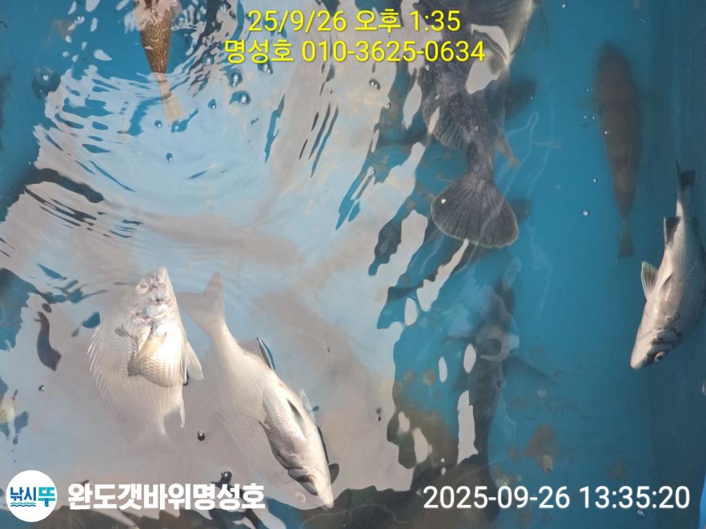 F2783988ID.jpg