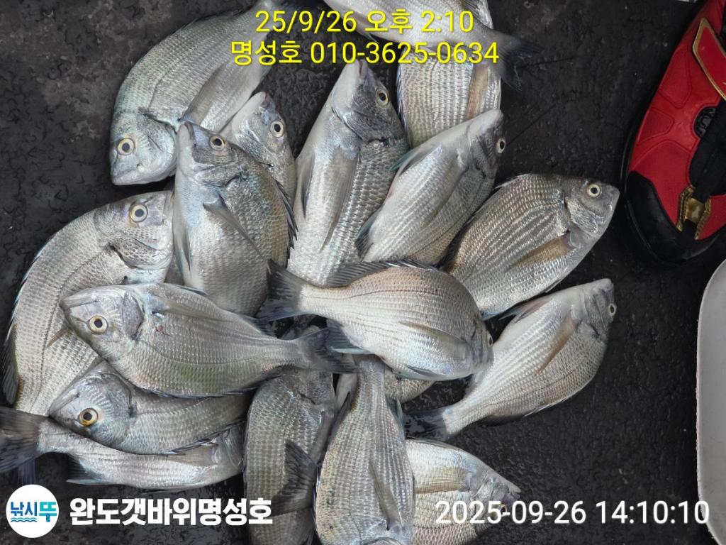 F27840606I.jpg