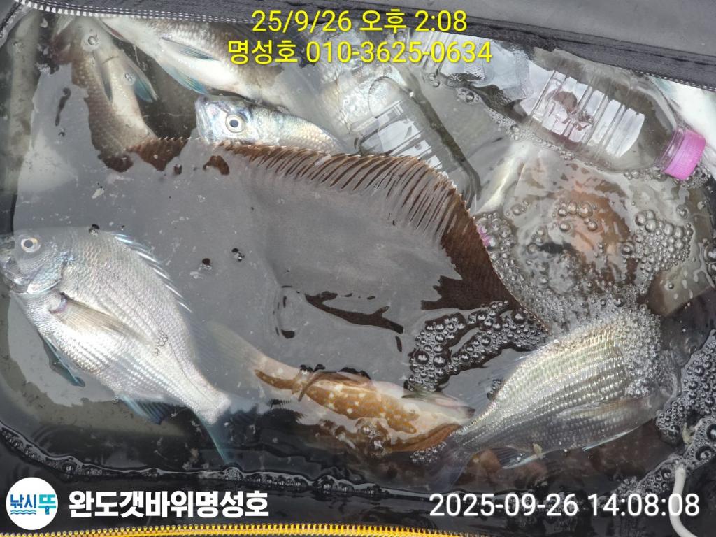 F2784063Q0.jpg
