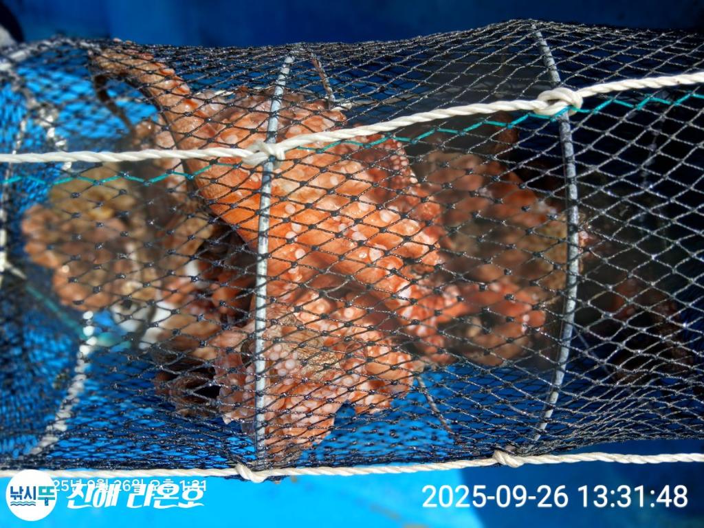 F27840726H.jpg